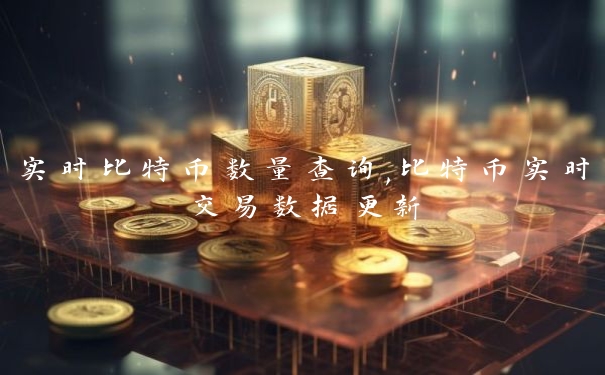 实时比特币数量查询,比特币实时交易数据更新