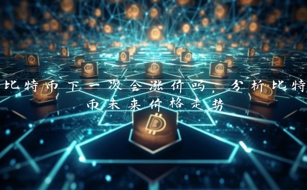 比特币下一次会涨价吗，分析比特币未来价格走势