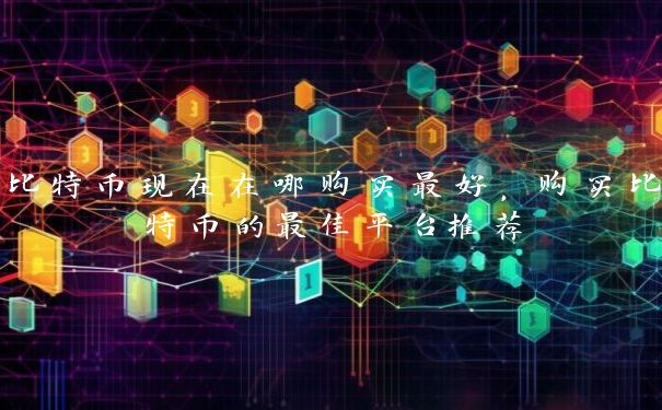 比特币现在在哪购买最好，购买比特币的最佳平台推荐