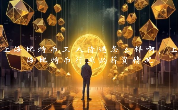 上海比特币工人待遇怎么样啊，上海比特币行业的薪资情况