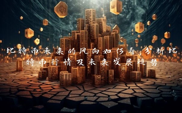 比特币未来的风向如何看,分析比特币行情及未来发展趋势
