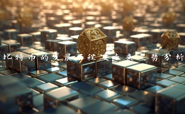 比特币的发展历程及未来走势分析