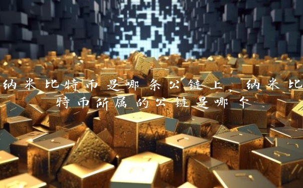 纳米比特币是哪条公链上，纳米比特币所属的公链是哪个