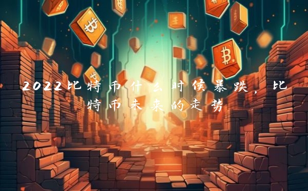 2022比特币什么时候暴跌，比特币未来的走势