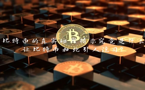 比特币的真实秘密揭示究竟是什么让比特币如此引人注目？