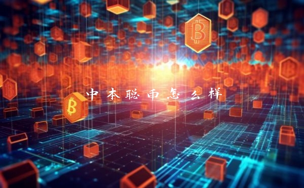 中本聪币怎么样