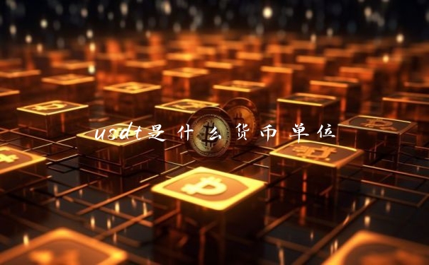usdt是什么货币单位