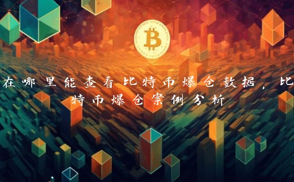 在哪里能查看比特币爆仓数据，比特币爆仓案例分析