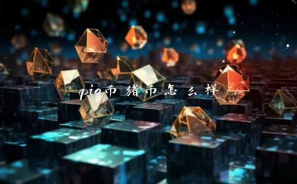 pig币猪币怎么样