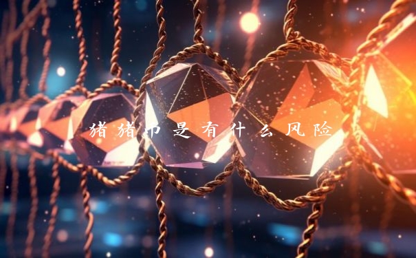 猪猪币是有什么风险